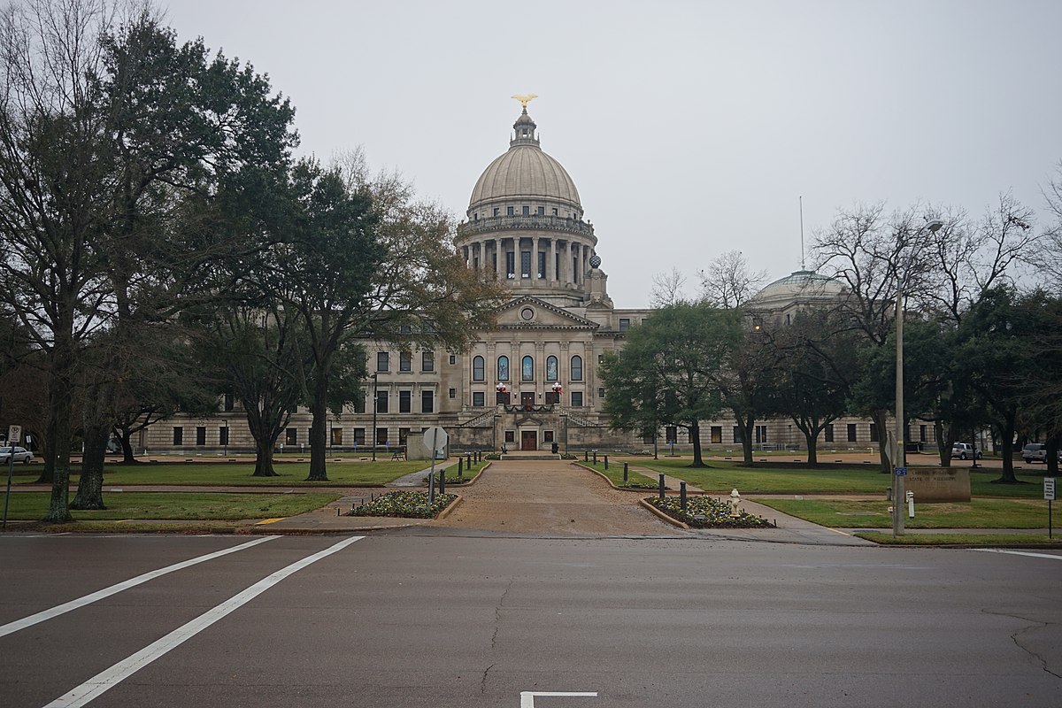 Read more about the article Ideas for Increased Accountability after the Mississippi Department of Human Services Audit