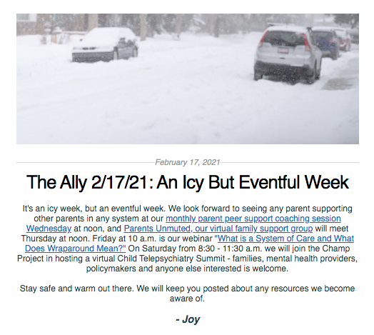 Screen shot from the Ally newsletter for February 17, 2021