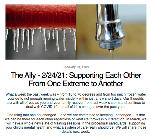Screen Shot from The Ally Newsletter from February 24, 2021